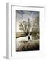 A Winter Flood with Hoar Frost Occurs at the Source of the River Thames at Waterhay-Charles Bowman-Framed Photographic Print