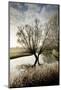 A Winter Flood with Hoar Frost Occurs at the Source of the River Thames at Waterhay-Charles Bowman-Mounted Photographic Print