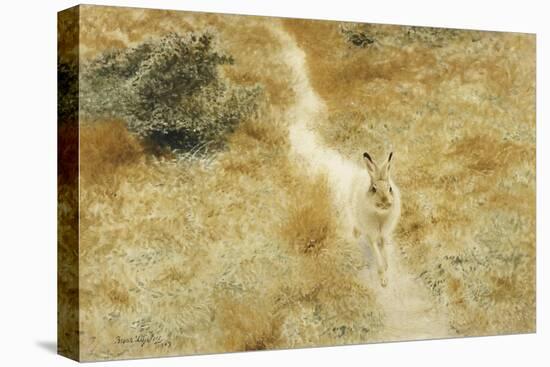 A Winter-Hare in a Landscape-Bruno Liljefors-Stretched Canvas