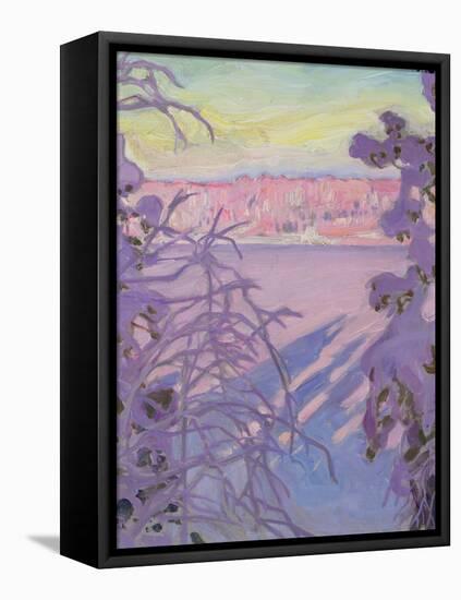 A Winter Landscape, 1917-Akseli Valdemar Gallen-kallela-Framed Stretched Canvas