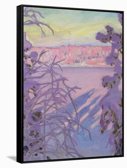 A Winter Landscape, 1917-Akseli Valdemar Gallen-kallela-Framed Stretched Canvas