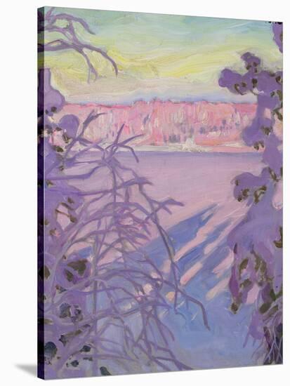 A Winter Landscape, 1917-Akseli Valdemar Gallen-kallela-Stretched Canvas