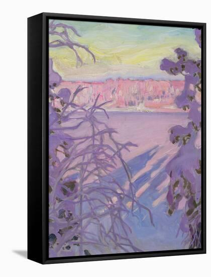 A Winter Landscape, 1917-Akseli Valdemar Gallen-kallela-Framed Stretched Canvas