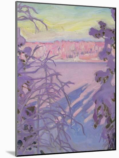 A Winter Landscape, 1917-Akseli Valdemar Gallen-kallela-Mounted Giclee Print