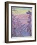 A Winter Landscape, 1917-Akseli Valdemar Gallen-kallela-Framed Premium Giclee Print