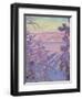 A Winter Landscape, 1917-Akseli Valdemar Gallen-kallela-Framed Premium Giclee Print