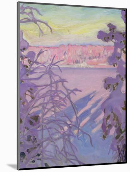 A Winter Landscape, 1917-Akseli Valdemar Gallen-kallela-Mounted Giclee Print