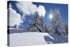 A Winter's Day Like from the Picture Book in the Snow-Covered Swiss Alps-Armin Mathis-Stretched Canvas