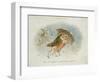 A Winter's Tale, Victorian Christmas Card-R. Dudley-Framed Giclee Print