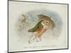 A Winter's Tale, Victorian Christmas Card-R. Dudley-Mounted Giclee Print