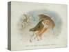 A Winter's Tale, Victorian Christmas Card-R. Dudley-Stretched Canvas