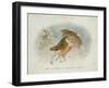 A Winter's Tale, Victorian Christmas Card-R. Dudley-Framed Giclee Print