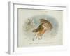 A Winter's Tale, Victorian Christmas Card-R. Dudley-Framed Giclee Print