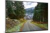 A winter view of a winding road through a wooded valley in the Ardnamurchan Peninsula, the Scottish-Peter Watson-Mounted Photographic Print