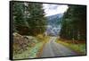 A winter view of a winding road through a wooded valley in the Ardnamurchan Peninsula, the Scottish-Peter Watson-Framed Stretched Canvas