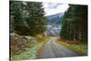 A winter view of a winding road through a wooded valley in the Ardnamurchan Peninsula, the Scottish-Peter Watson-Stretched Canvas