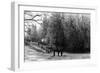 A Winter View of Manito Park - Spokane, WA-Lantern Press-Framed Art Print