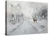 A Winters Drive-Janelle Nichol-Stretched Canvas