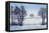 A Winters Walk-Tilly Willis-Framed Stretched Canvas