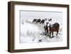 A Wintry Landscape on the Mynydd Epynt Moorland, Powys, Wales, United Kingdom, Europe-Graham Lawrence-Framed Photographic Print