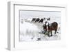 A Wintry Landscape on the Mynydd Epynt Moorland, Powys, Wales, United Kingdom, Europe-Graham Lawrence-Framed Photographic Print