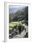 A Woman and Daughter Carry Firewood in Dolkas Back Home to Ghandruk, Nepal, Asia-Andrew Taylor-Framed Photographic Print