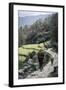 A Woman and Daughter Carry Firewood in Dolkas Back Home to Ghandruk, Nepal, Asia-Andrew Taylor-Framed Photographic Print