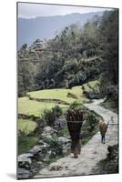 A Woman and Daughter Carry Firewood in Dolkas Back Home to Ghandruk, Nepal, Asia-Andrew Taylor-Mounted Photographic Print