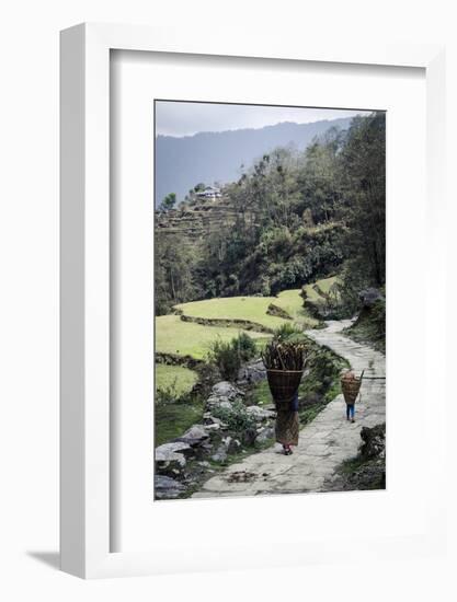 A Woman and Daughter Carry Firewood in Dolkas Back Home to Ghandruk, Nepal, Asia-Andrew Taylor-Framed Photographic Print