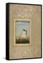 A Woman at Her Toilet-null-Framed Stretched Canvas