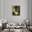 A Woman by a Dining Table-Carl Holsoe-Giclee Print displayed on a wall