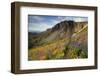 A Woman Enjoys a Morning Trail Run in a Meadow of Wildflowers at Snowbird Ski and Summer Resort, Ut-Adam Barker-Framed Photographic Print