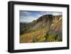 A Woman Enjoys a Morning Trail Run in a Meadow of Wildflowers at Snowbird Ski and Summer Resort, Ut-Adam Barker-Framed Photographic Print