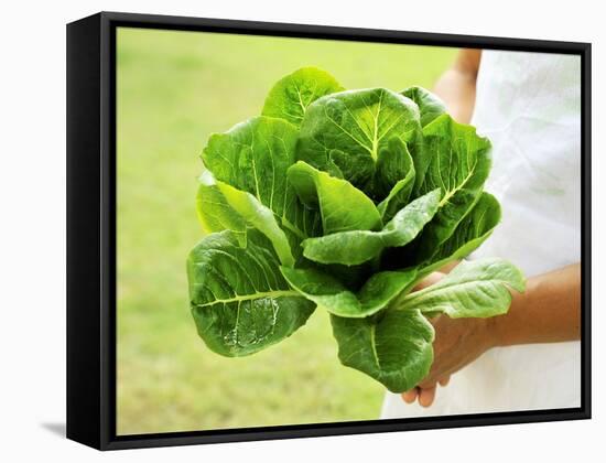 A Woman Holding a Lettuce-null-Framed Stretched Canvas