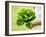 A Woman Holding a Lettuce-null-Framed Photographic Print