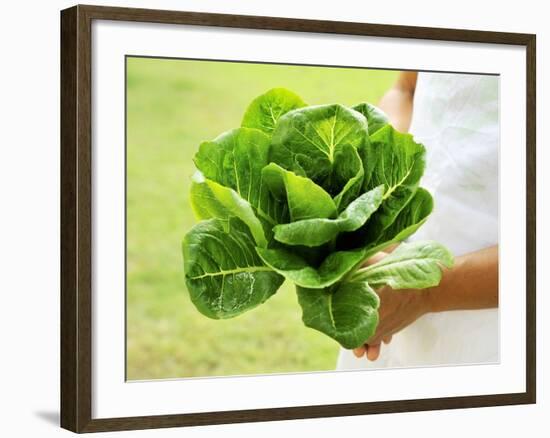 A Woman Holding a Lettuce-null-Framed Photographic Print