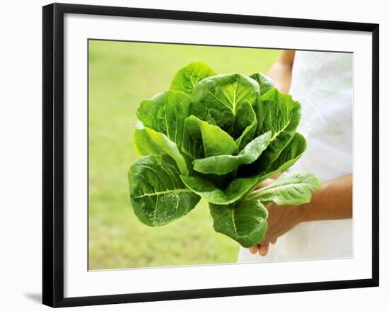 A Woman Holding a Lettuce-null-Framed Photographic Print