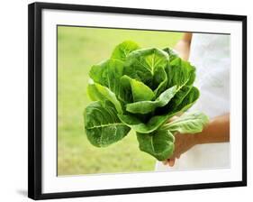 A Woman Holding a Lettuce-null-Framed Photographic Print