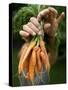 A Woman Holds Out a Bundle of Vegetables from a Fresh Harvest in the Garden.-null-Stretched Canvas