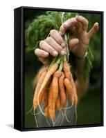 A Woman Holds Out a Bundle of Vegetables from a Fresh Harvest in the Garden.-null-Framed Stretched Canvas