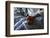 A Woman Holds the Hand of Her Mother Who Is Dying from Cancer During Her Final Hours-Shaun Best-Framed Photographic Print