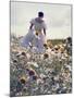 A Woman in a White Victorian Dress, Walking Among Camomile Flowers on a Meadow on a Sunny Day-Malgorzata Maj-Mounted Photographic Print