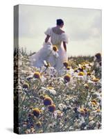 A Woman in a White Victorian Dress, Walking Among Camomile Flowers on a Meadow on a Sunny Day-Malgorzata Maj-Stretched Canvas