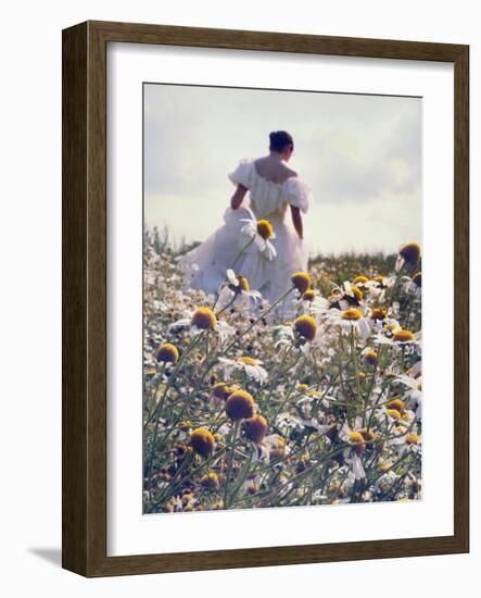 A Woman in a White Victorian Dress, Walking Among Camomile Flowers on a Meadow on a Sunny Day-Malgorzata Maj-Framed Photographic Print