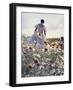 A Woman in a White Victorian Dress, Walking Among Camomile Flowers on a Meadow on a Sunny Day-Malgorzata Maj-Framed Photographic Print