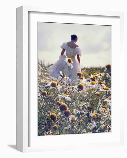 A Woman in a White Victorian Dress, Walking Among Camomile Flowers on a Meadow on a Sunny Day-Malgorzata Maj-Framed Photographic Print