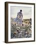 A Woman in a White Victorian Dress, Walking Among Camomile Flowers on a Meadow on a Sunny Day-Malgorzata Maj-Framed Premium Photographic Print