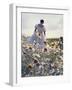 A Woman in a White Victorian Dress, Walking Among Camomile Flowers on a Meadow on a Sunny Day-Malgorzata Maj-Framed Premium Photographic Print