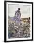 A Woman in a White Victorian Dress, Walking Among Camomile Flowers on a Meadow on a Sunny Day-Malgorzata Maj-Framed Photographic Print