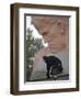 A Woman Lays Flowers on the Unknown Soldier Monument Near the Brest Fortress-null-Framed Premium Photographic Print